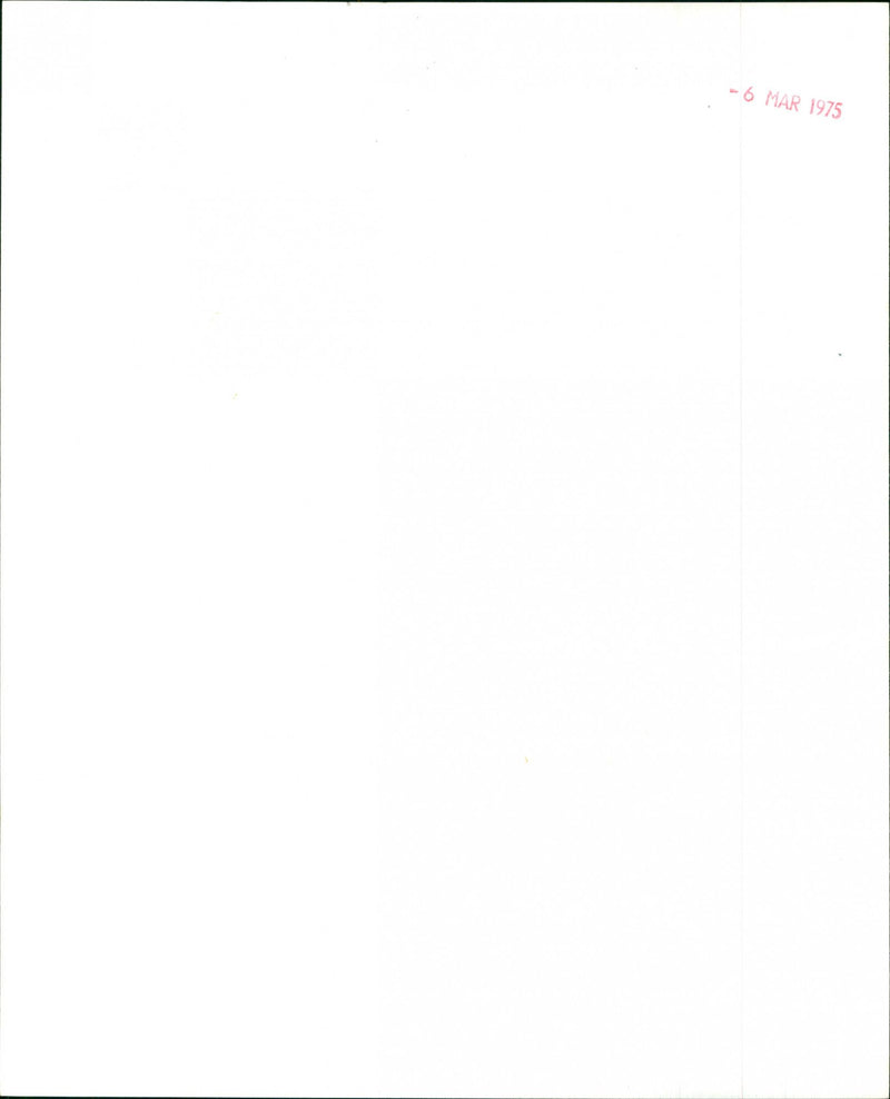 Roy Buchanan - Vintage Photograph