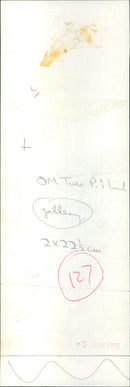 Hanging in the crowd - Vintage Photograph