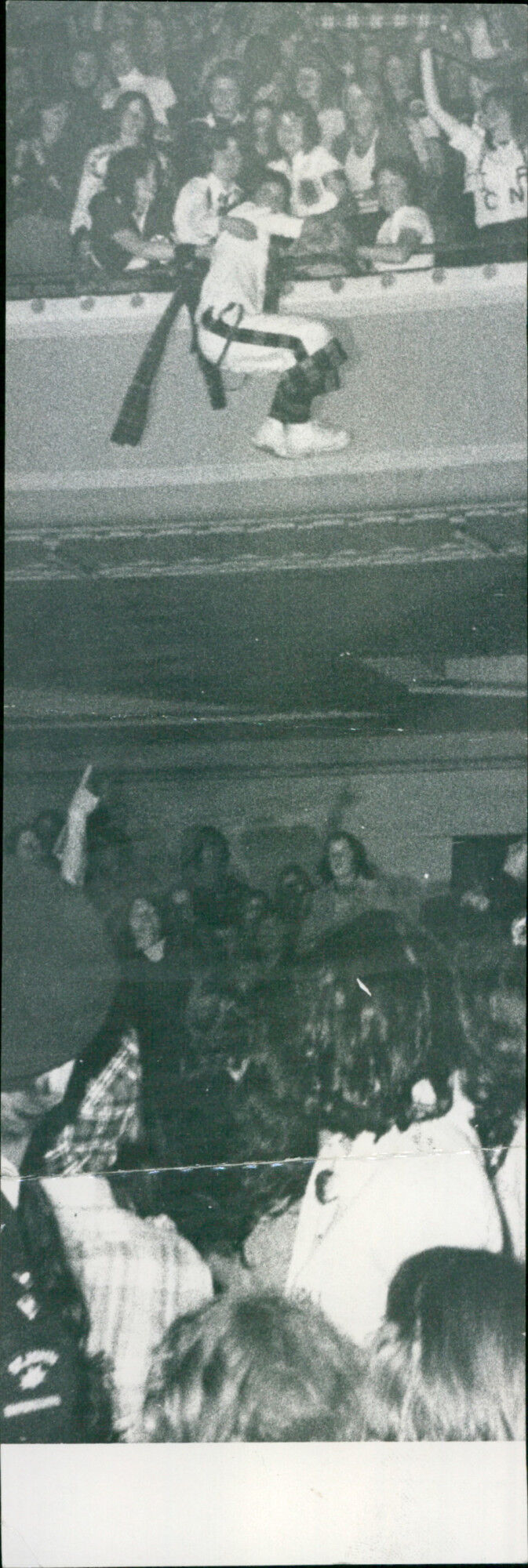Hanging in the crowd - Vintage Photograph