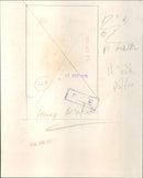 Harry Belafonte - Vintage Photograph