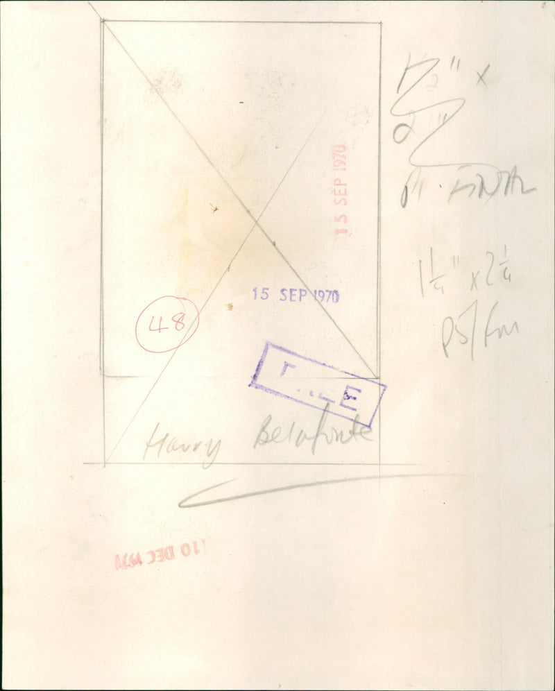 Harry Belafonte - Vintage Photograph