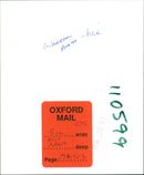 Warren Beatty - Vintage Photograph