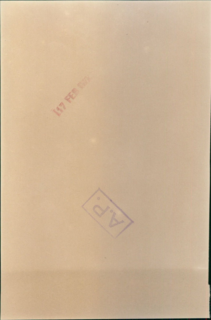 Nina van Pallandt - Vintage Photograph