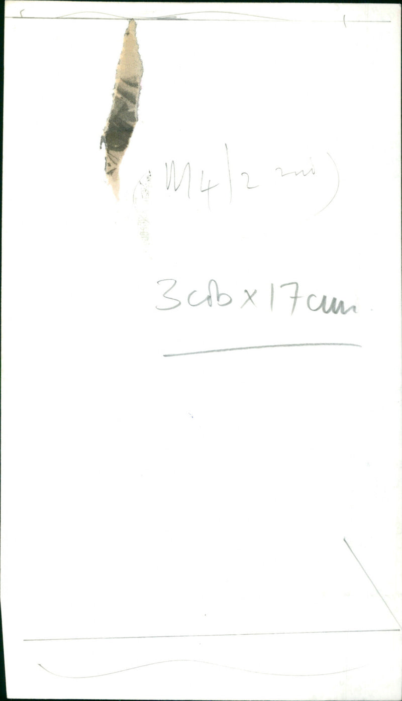 Princess Anne - Vintage Photograph