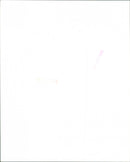 Joan Baez - Vintage Photograph