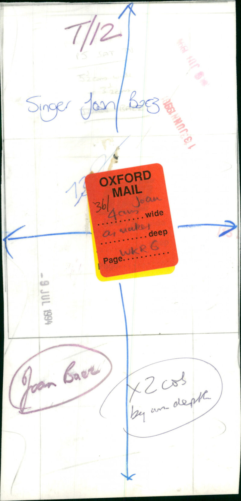 Joan Baez - Vintage Photograph