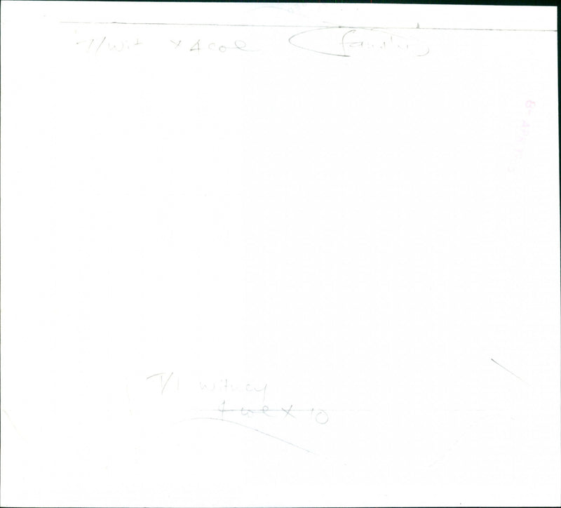 Family - Vintage Photograph