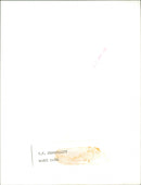 Marti Caine - Vintage Photograph