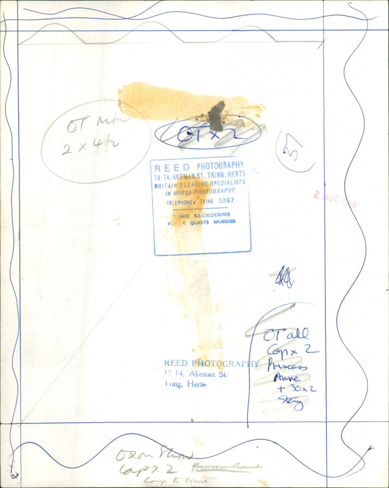 Princess Anne - Vintage Photograph