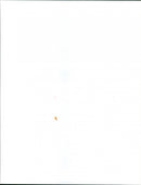 Abba Gold - Vintage Photograph