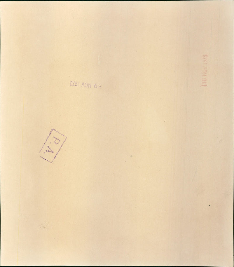 Rehearsal of the Royal Wedding Procession - Vintage Photograph