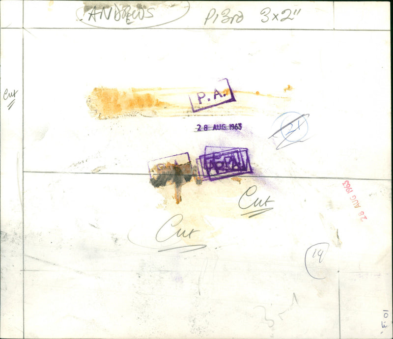 Julie Andrews - Vintage Photograph