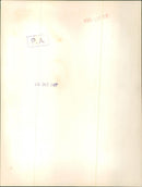 Princess Anne - Vintage Photograph