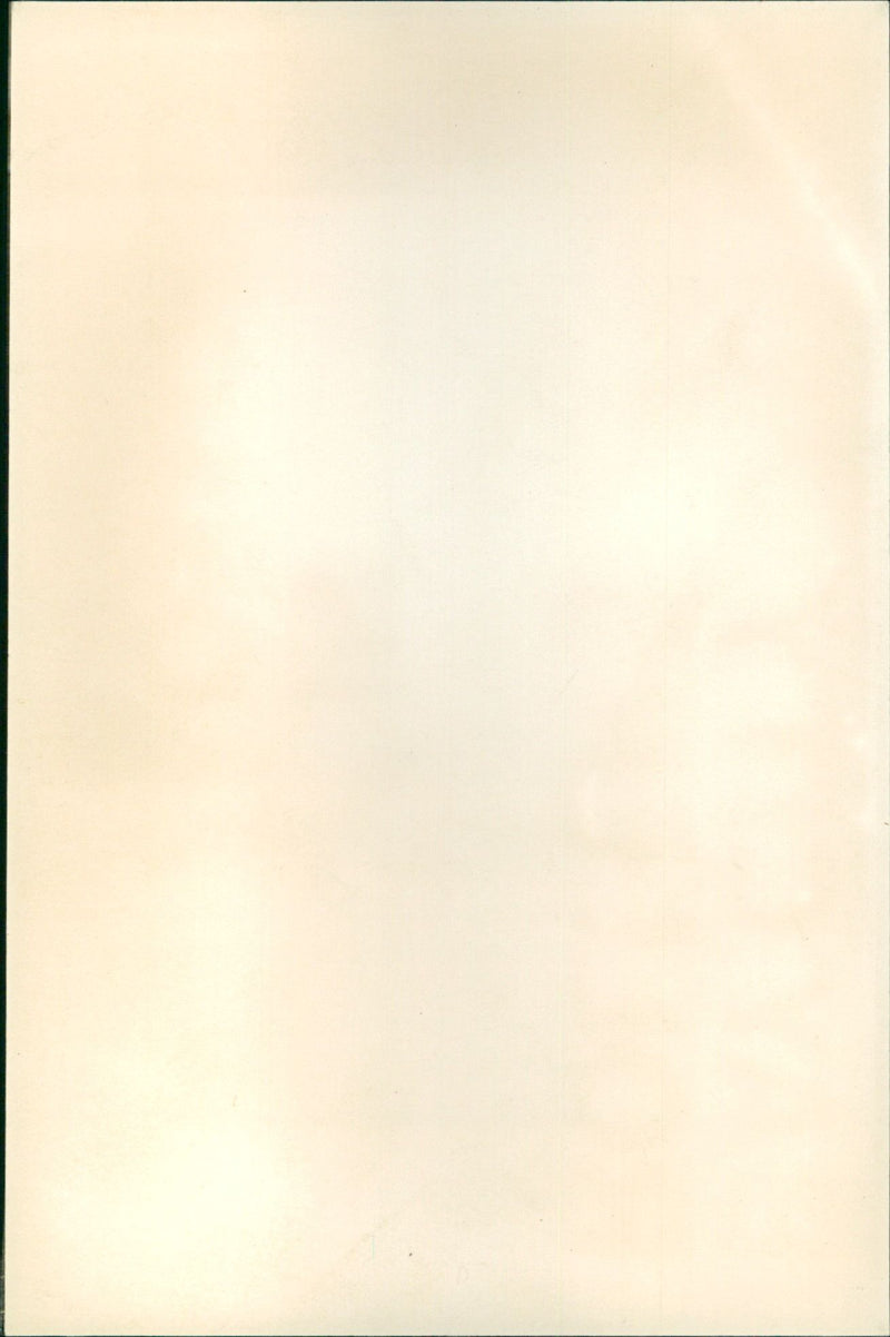 Bay City Rollers - Vintage Photograph