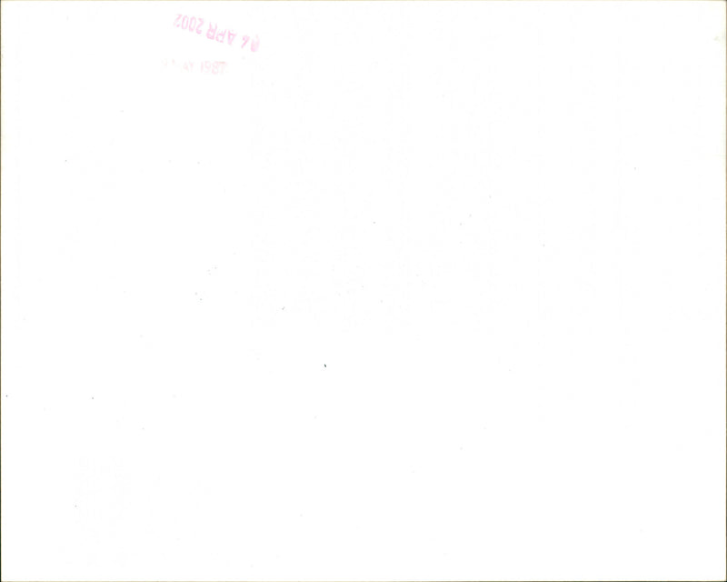 Princess Anne - Vintage Photograph