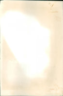 Bay City Rollers - Vintage Photograph