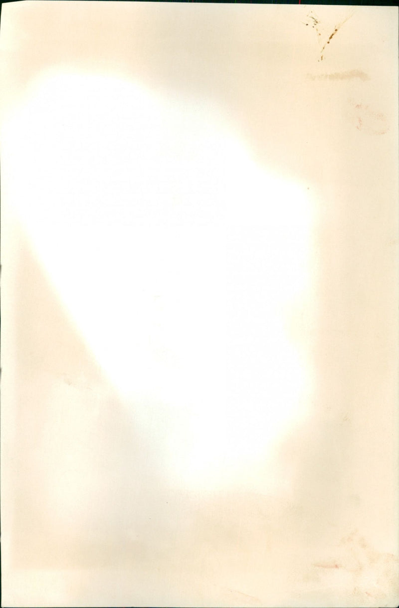 Bay City Rollers - Vintage Photograph