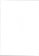 Stacey Allen - Vintage Photograph