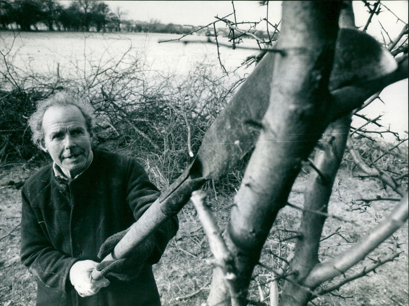 Bernard Beauchamp - Vintage Photograph
