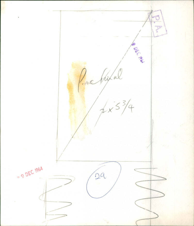 Princess Anne - Vintage Photograph