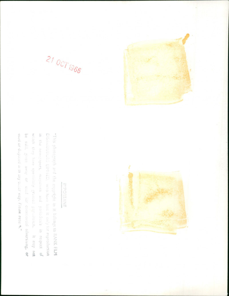 Julie Andrews - Vintage Photograph