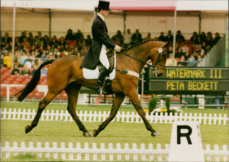 Peta Beckett - Vintage Photograph