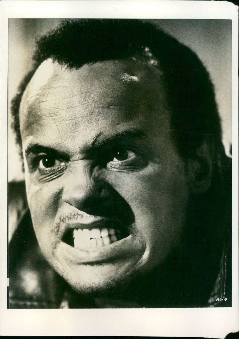 Harry Belafonte - Vintage Photograph