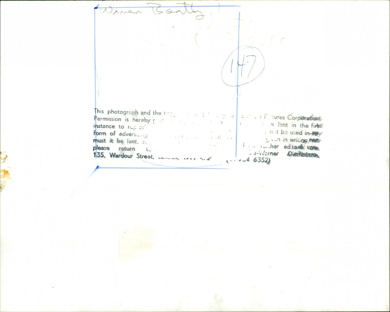 Warren Beatty - Vintage Photograph