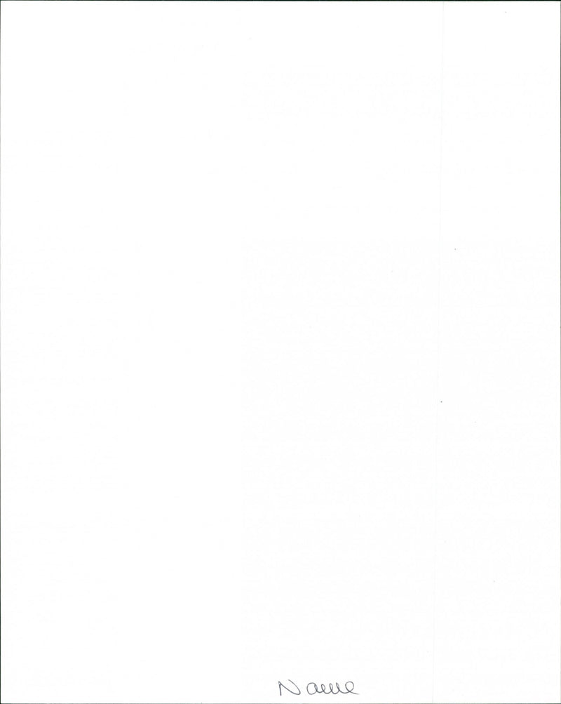 Balfa Toujours - Vintage Photograph