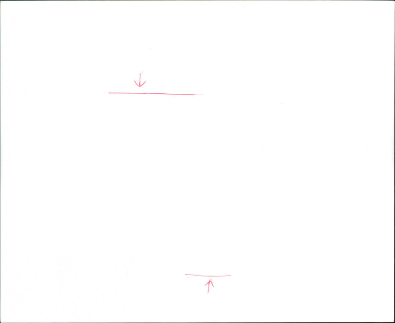 Peta Beckett - Vintage Photograph