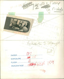 Princess Anne - Vintage Photograph