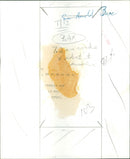 Sir Arnold Bax - Vintage Photograph