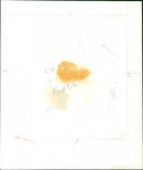 Tony Benn - Vintage Photograph