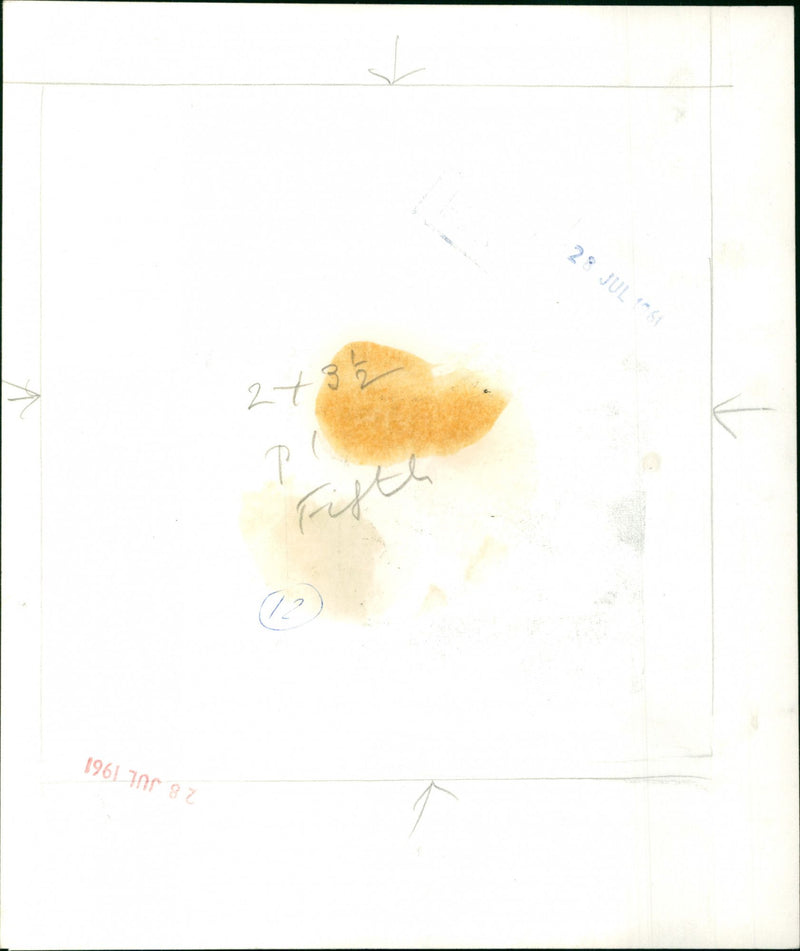 Tony Benn - Vintage Photograph