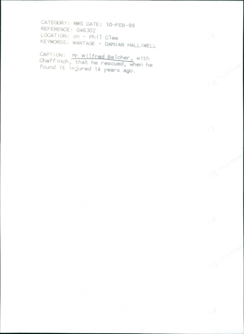 Wilfred Belcher - Vintage Photograph