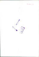 The Beatles fans - Vintage Photograph