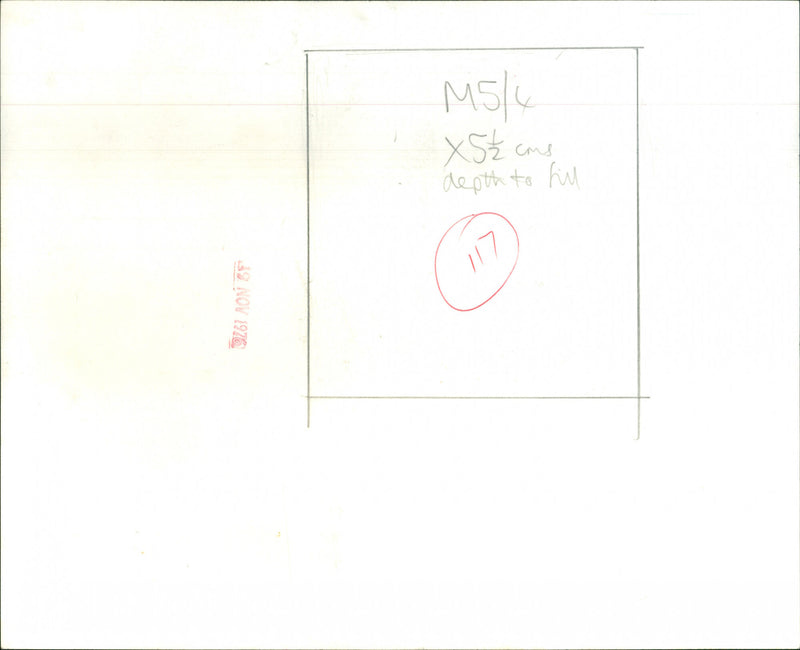 Roy Buchanan - Vintage Photograph