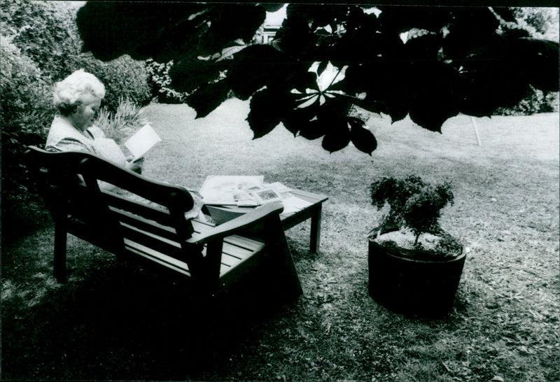 Wendy Buckingham - Vintage Photograph