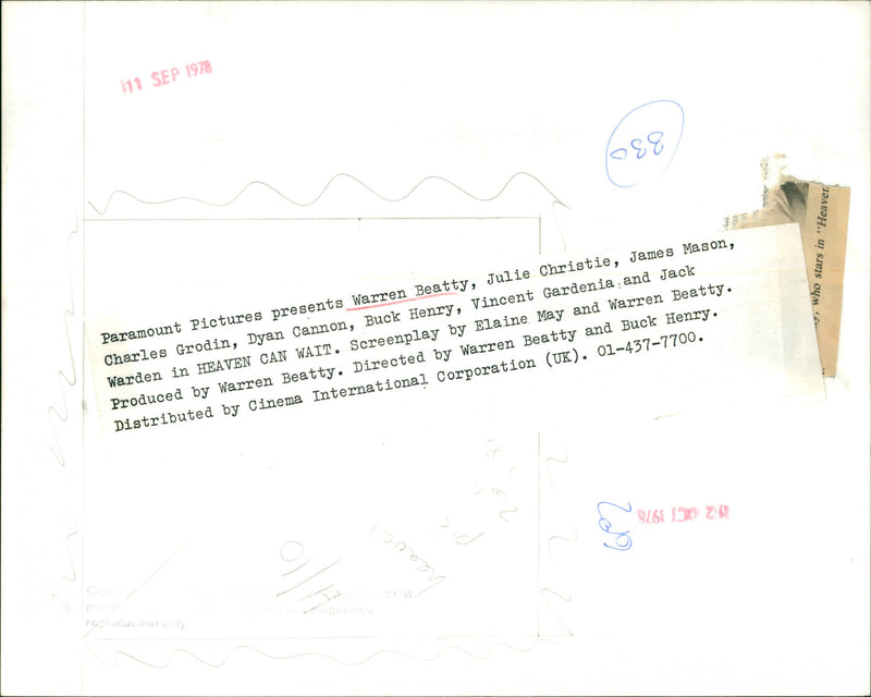 Warren Beatty - Vintage Photograph