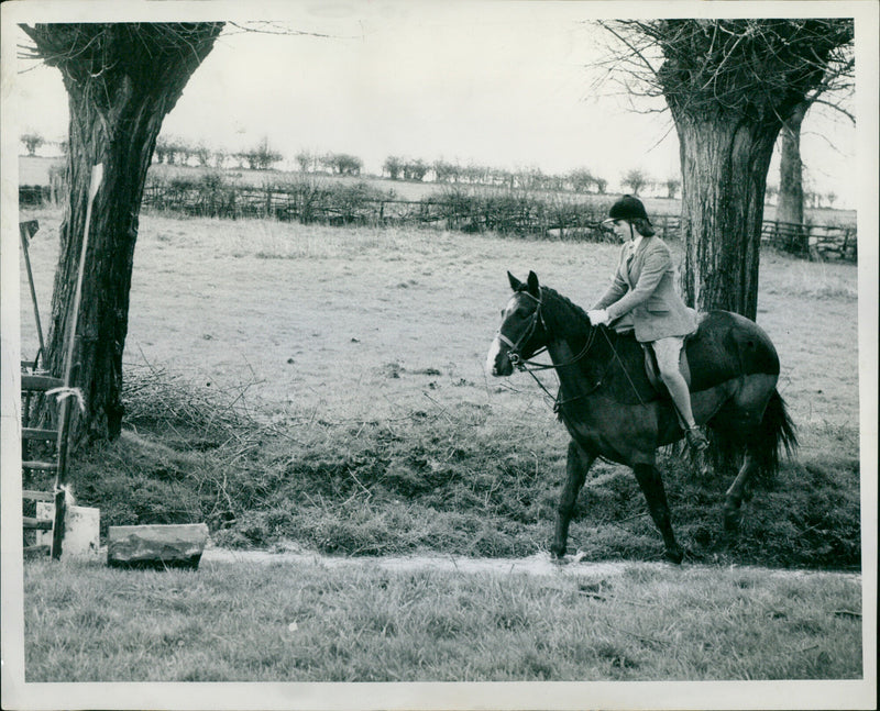 Princess Anne - Vintage Photograph