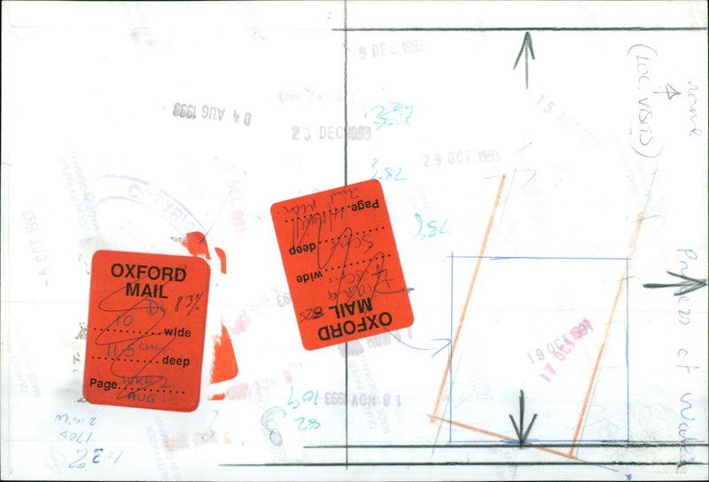 Princess of Wales - Vintage Photograph