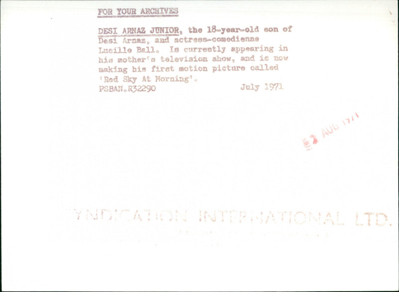 Desi Arnaz Jr. - Vintage Photograph