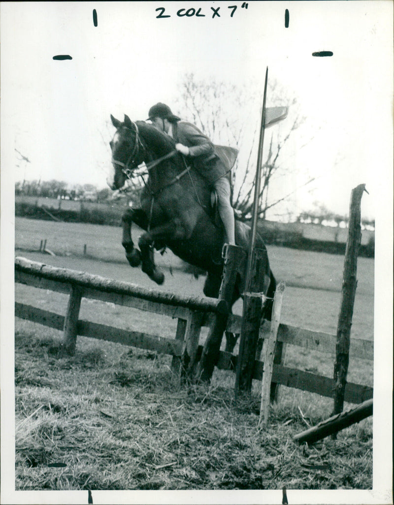 Princess Anne - Vintage Photograph