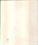 Ann-Margret - Vintage Photograph