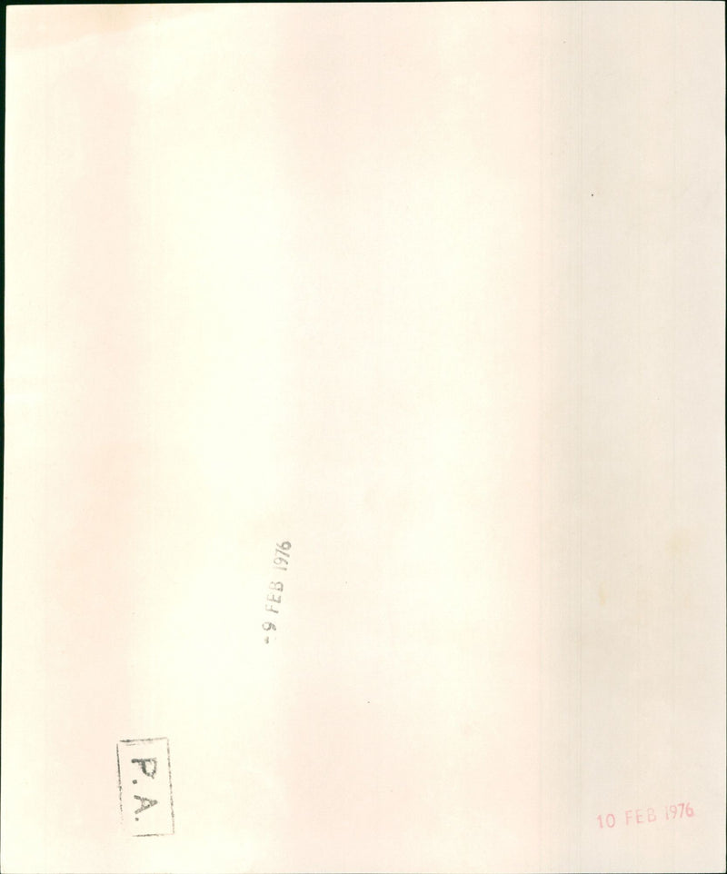 Ann-Margret - Vintage Photograph