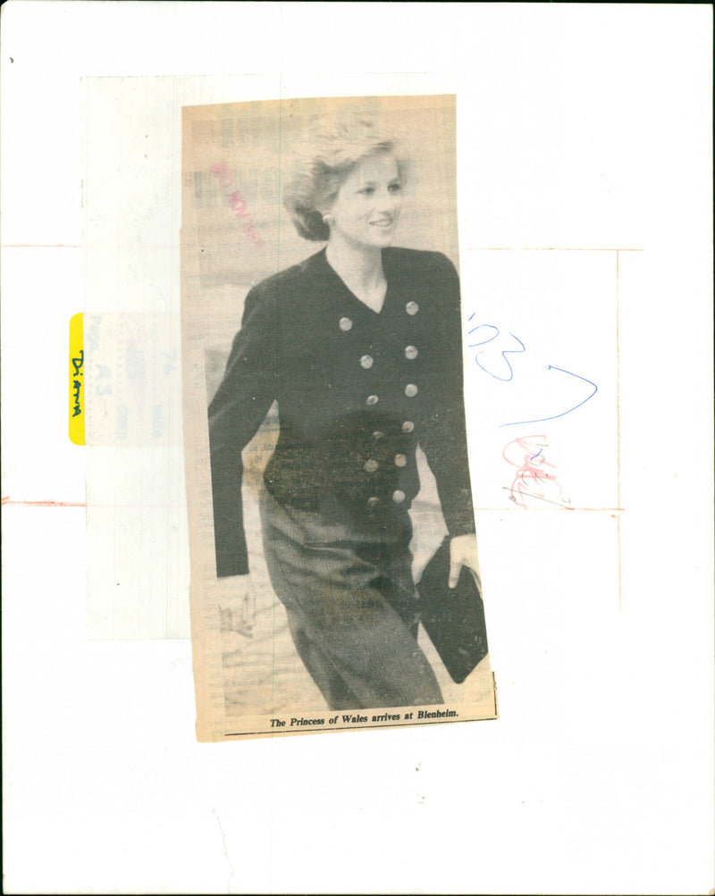 Princess of Wales - Vintage Photograph