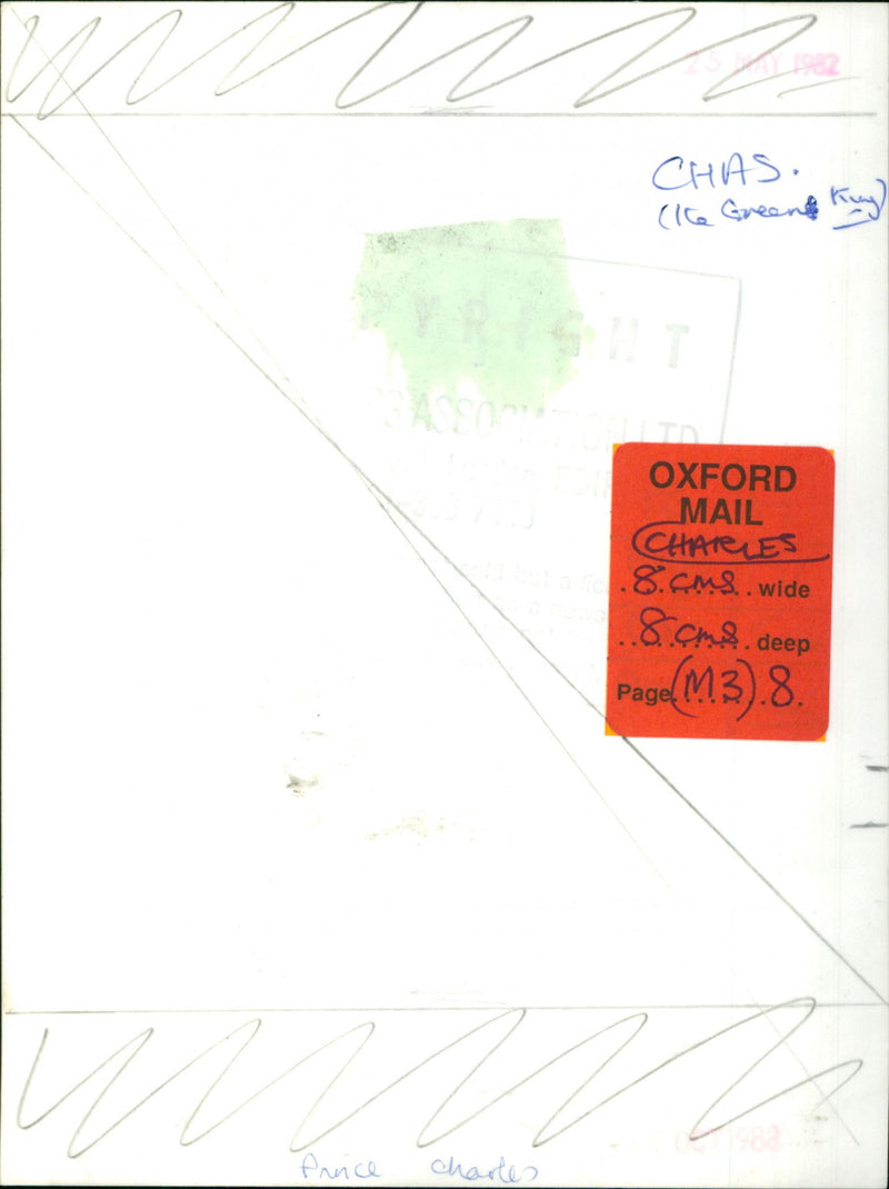 Prince of Wales - Vintage Photograph