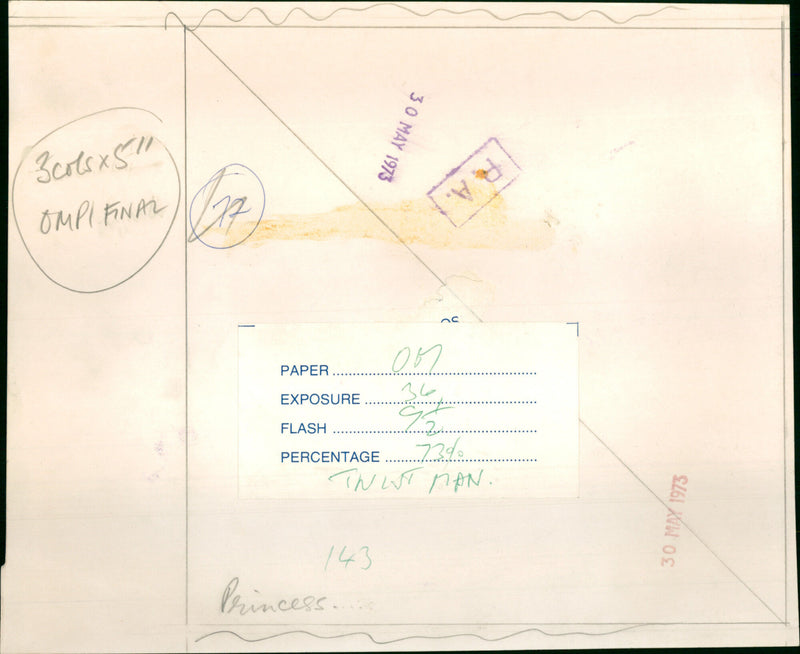 Princess Anne - Vintage Photograph