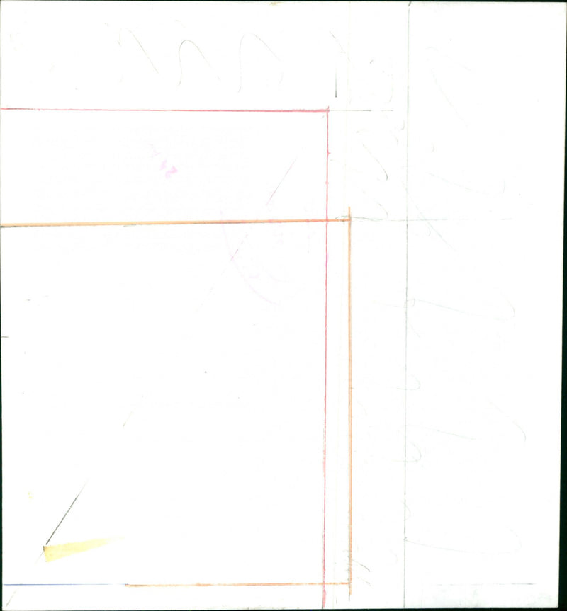 Diana, Princess of Wales - Vintage Photograph