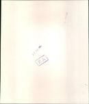 Prince of Wales - Vintage Photograph